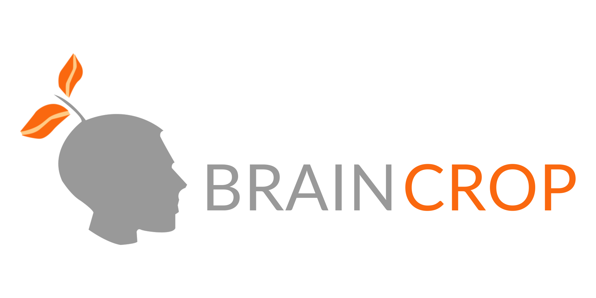 BrainCrop Support